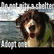 Debrah Reid's photo