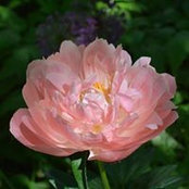 Sherry Schneider's photo