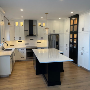 Barrhaven Main Level Reno