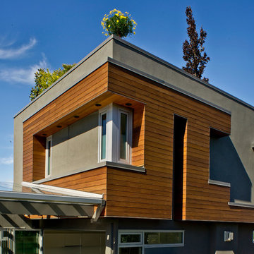 Bringing the Outdoors In