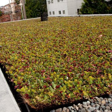 Muriel's Landing / UDistrict Student Housing