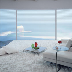 Hunter Douglas - Hunter Douglas Silhouette - Window Treatments