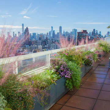 Broadway Butterfly Garden