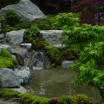 Japanischer Teichgarten im Südschwarzwald