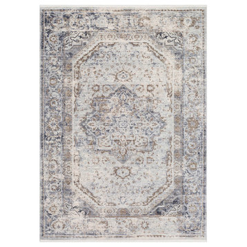 Liverpool Updated Traditional Charcoal, Gray Area Rug, 2'7"x10'3" Runner