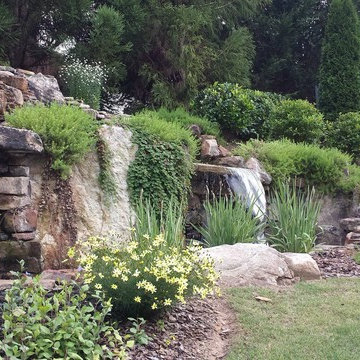 Landscape