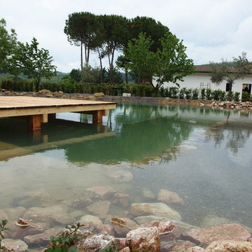 Piscina biologica Agriturismo "Il Meletto" Lari (PI) Toscana