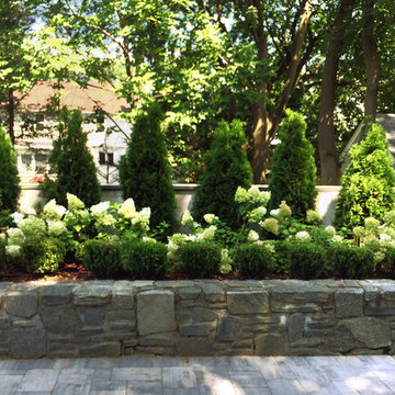 Green and White Garden