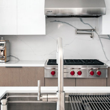 Two-Toned Contemporary Kitchen Renovation