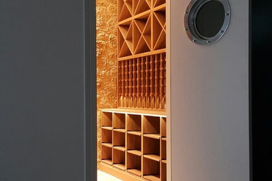 Photo of a contemporary wine cellar.