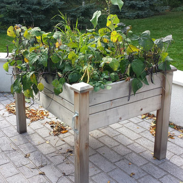 Edible Landscaping