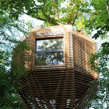 treehouse