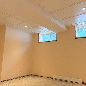 Basement Renovation