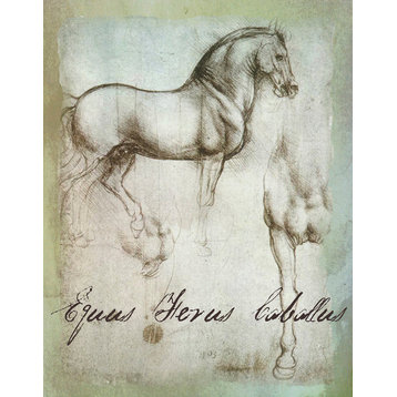 Da Vinci"s Equus Ferus Cabeltus Graphic Art on Wrapped Canvas