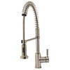 766-BN Brushed Nickel Spring-Spout Faucet