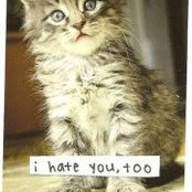 Kari Nuenke's photo