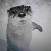 Sabrina De Sousa's photo