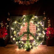 Meredith Doyle's photo