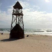 Patrick Duval's photo