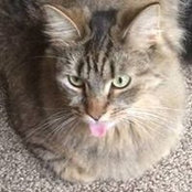 Cynthia Murdock's photo