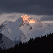 Harry Williams's photo
