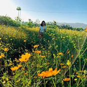 Ngoc Pham's photo