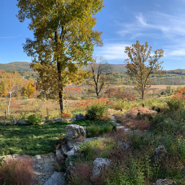 Panoramic Vista - Borrowed Views