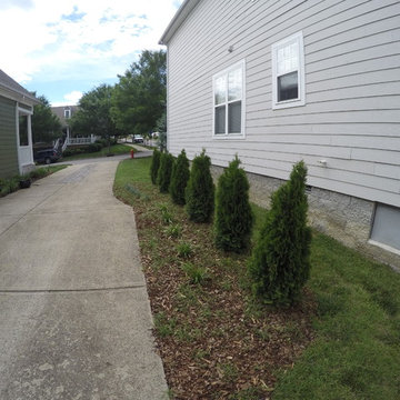 Perennials That Multiply