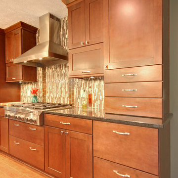 Grand Rapids Transitional Kitchen Remodel
