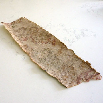 Fragment of wallpaper