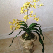 Floral arrangements I made