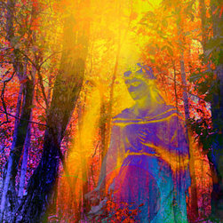 Daydreaming - Prints And Posters