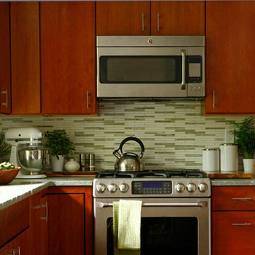 Chestnut Hill Kitchen Update