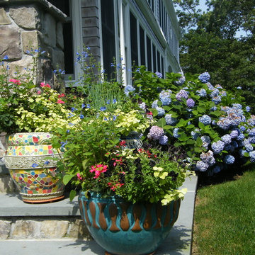 Container Gardens