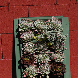 Succulent Wall for Del Mar Home Garden Show 2012 - Outdoor Pots And Planters