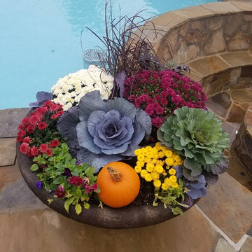 Fall Pots