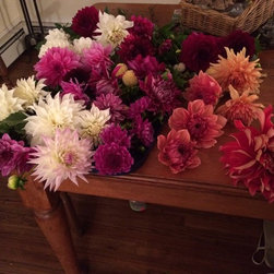 Cut Flower Arrangements - Products