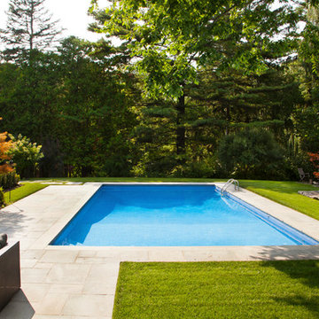 A Modern Inground Amongst Sprawling Greenery