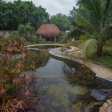 Velicano