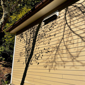 Exterior panting.
