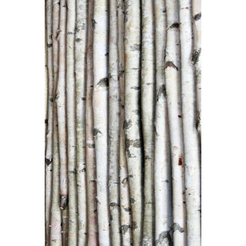 Birch Pole Packs, Small