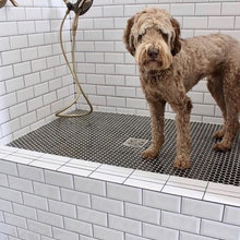 tile grout