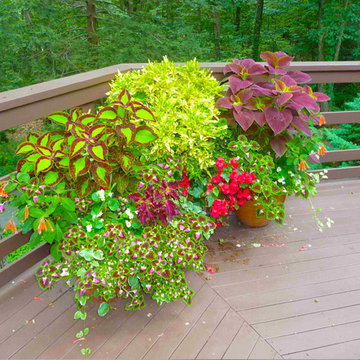 Container Gardens