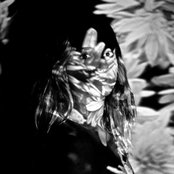 Foto de Madeline Dilustro
