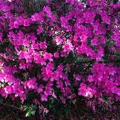 Val Burke's photo