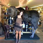 Gianna Foltz's photo