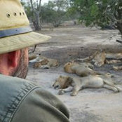 Foto de John Cree
