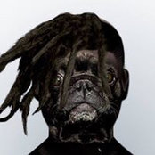 Joe Goldenberg's photo