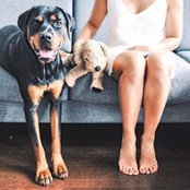 Beatrice Lam's photo