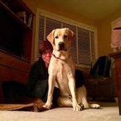 Robin Kinch's photo